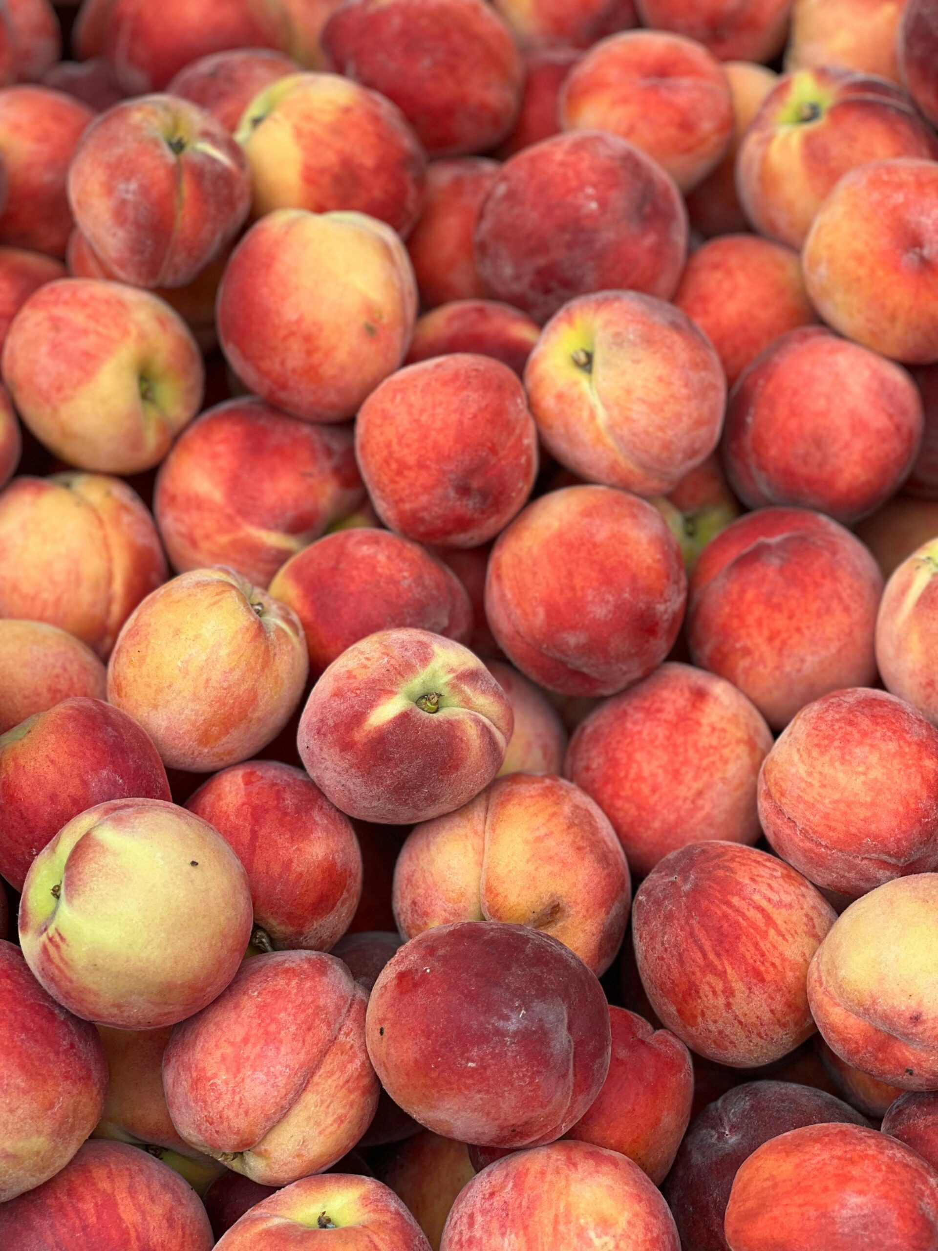 Close-up of vibrant peaches highlighting freshness and nutrition, perfect for healthy diets.